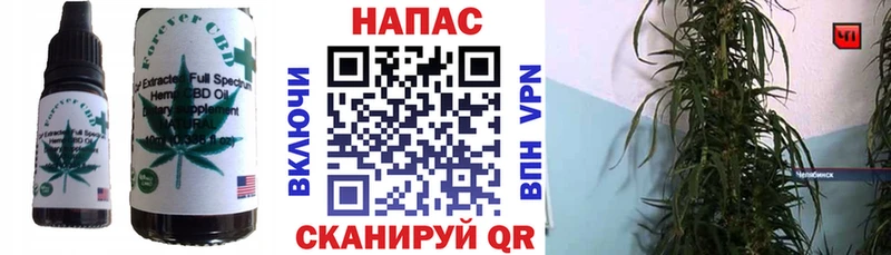дарнет шоп  Саратов  Canna-Cookies конопля 