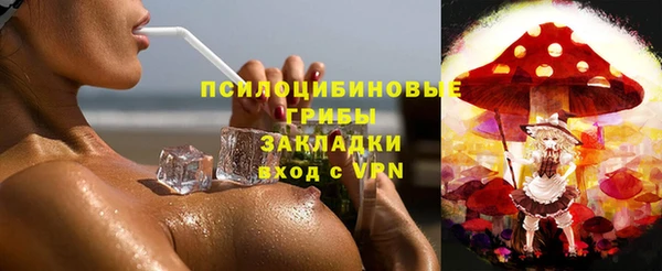 спайс Арсеньев