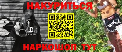 дмт Гатчина