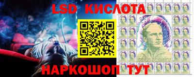 амфетамин Гай