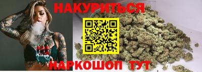 дмт Гатчина