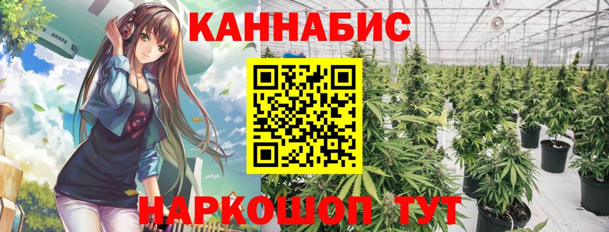 Каннабис сатива  Бошки Шишки White Widow  Саратов  Вход с VPN  Марихуана VHQ 